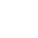 white snowflake